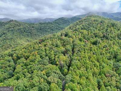 Lot 23 Skyview Overlook Overlook, Unit OVERLOOK Hayesville, NC 28904 - Photo 8 of 10 a view of a green field with lots of bushes