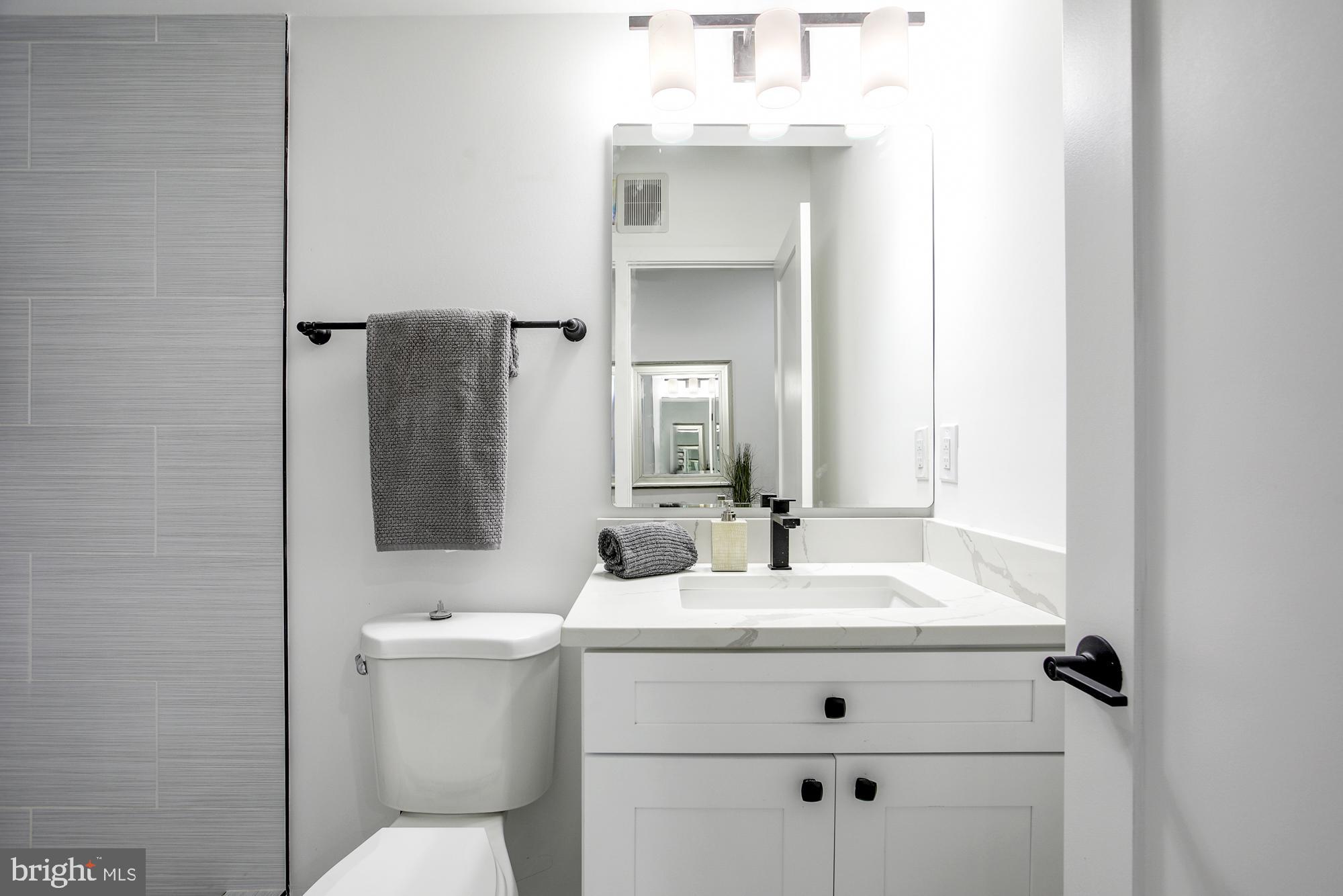 1730 Montello Avenue Northeast, Unit 2 Washington, DC 20002 - Photo 11 of 14 a bathroom with a sink toilet and mirror