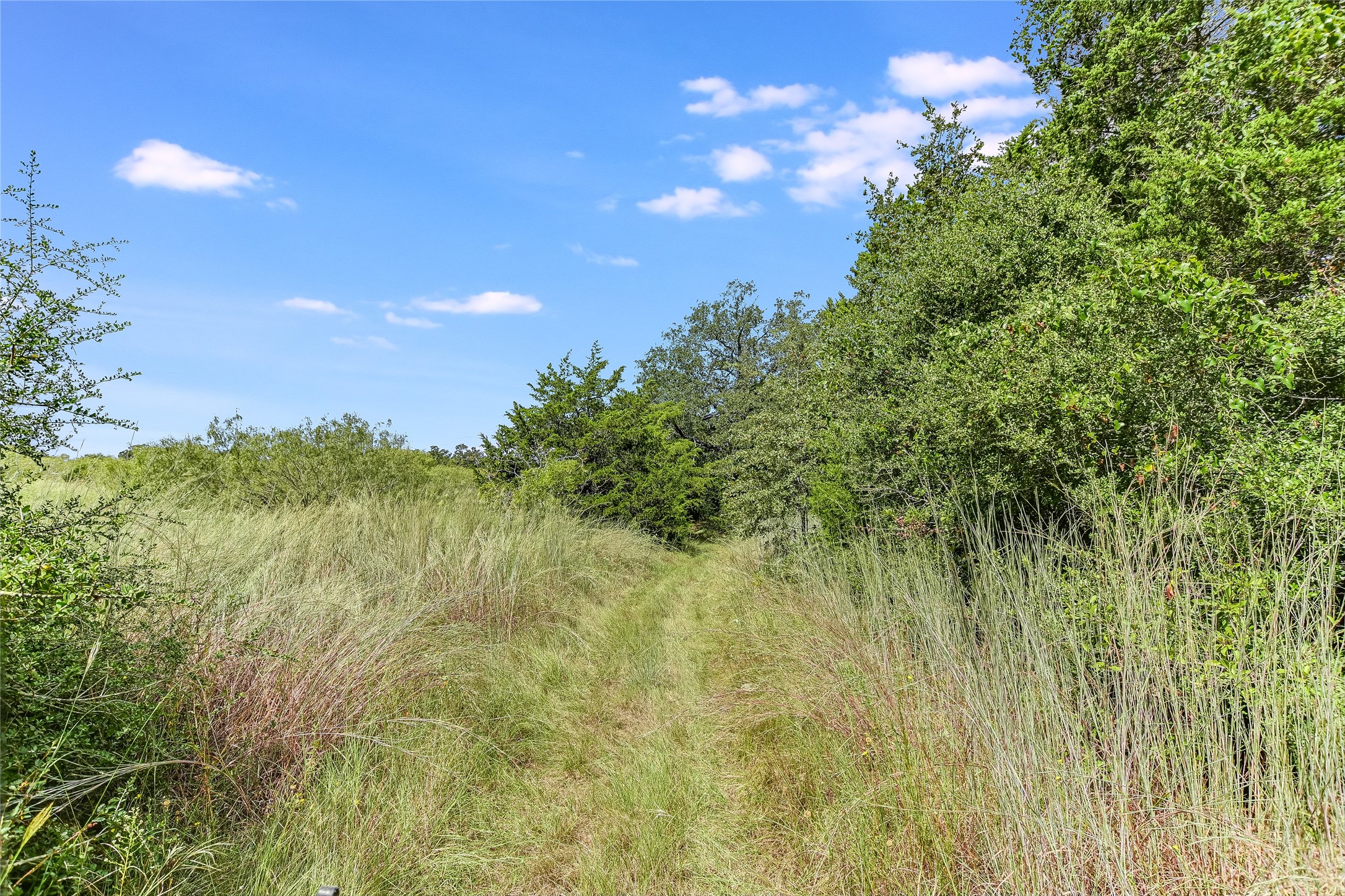 741 Knobbs Road McDade, TX 78650 - Photo 28 of 38 A natural pathway winds through a vibrant, grassy landscape under an expansive blue sky.