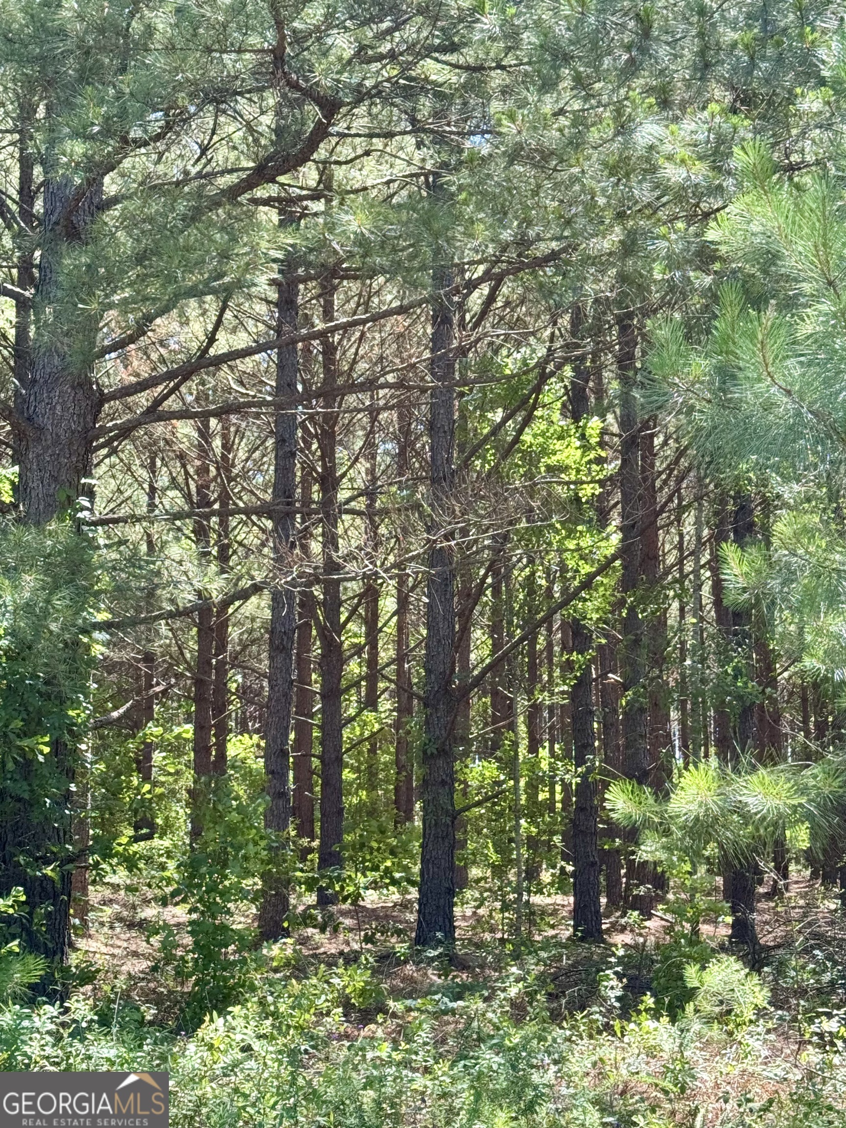 0 Sheppard Road Tennille, GA 31089 - Photo 1 of 1 a backyard of a house with lots of green space