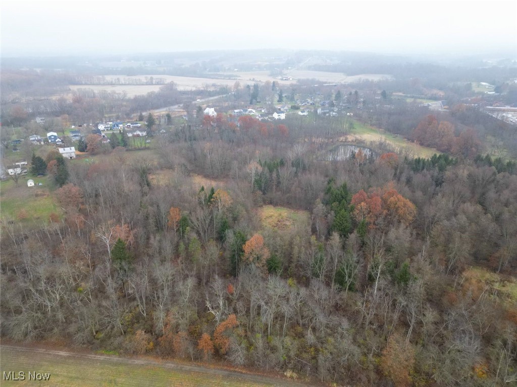 Aerial view of property's location with a forest