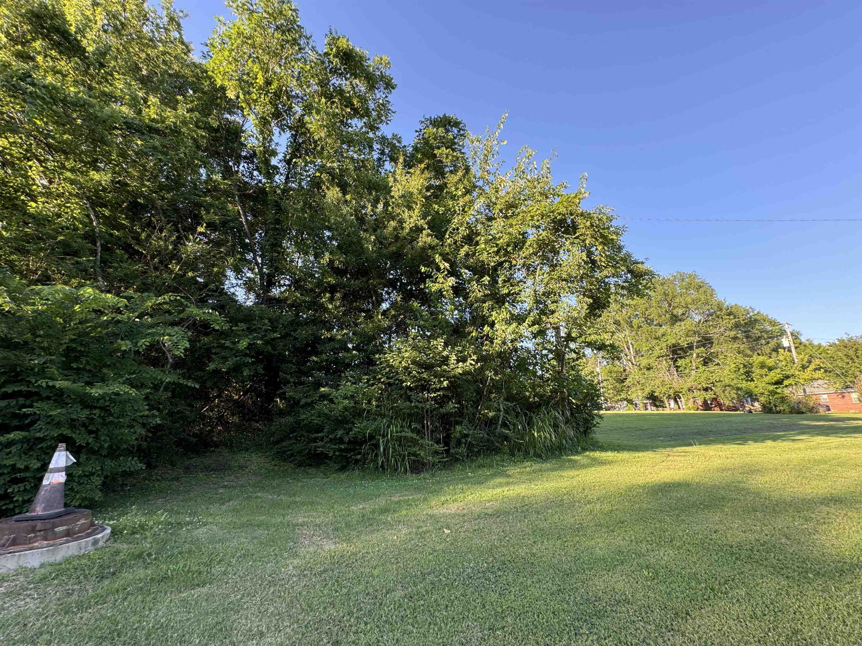 0 North Main Street Medina, TN 38355 - Photo 12 of 21 Photo 12