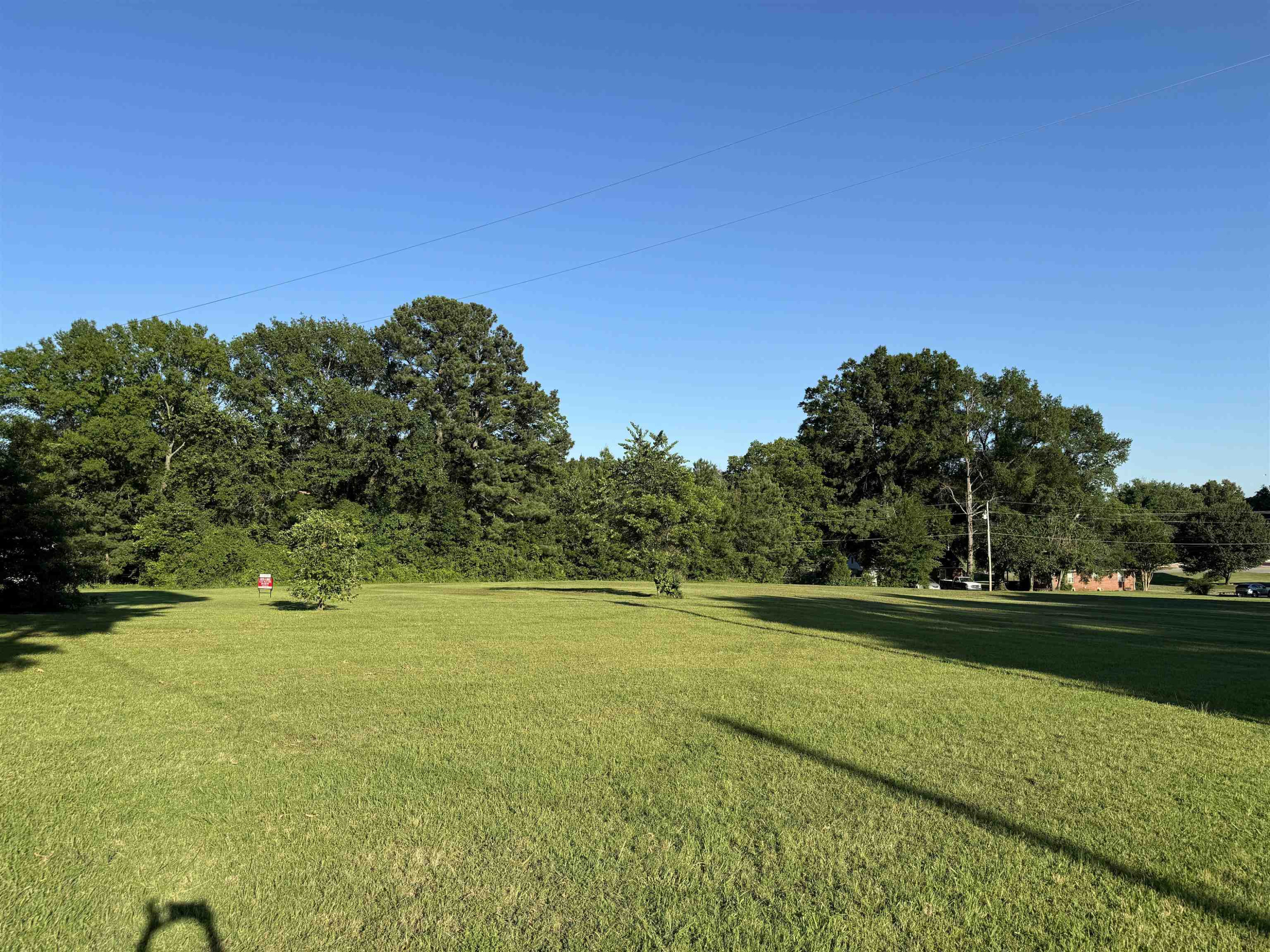 0 North Main Street Medina, TN 38355 - Photo 14 of 21 Photo 14