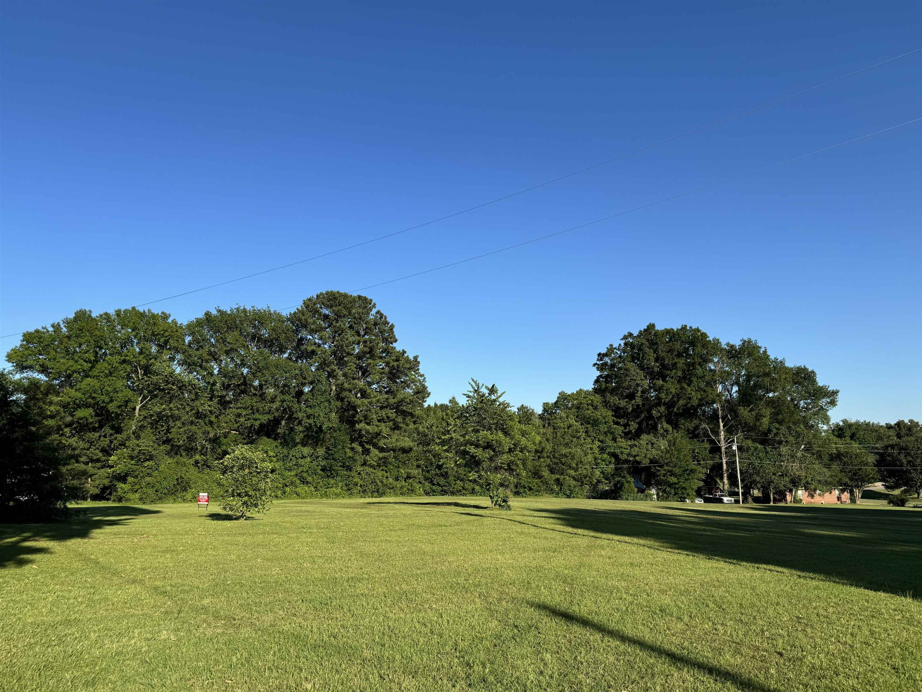 0 North Main Street Medina, TN 38355 - Photo 16 of 21 Photo 16