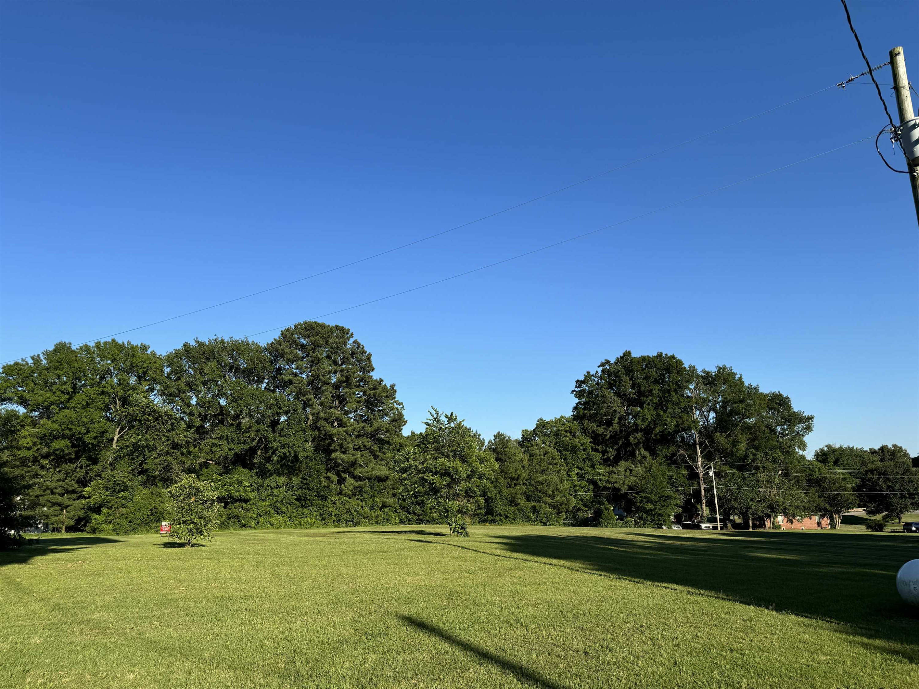 0 North Main Street Medina, TN 38355 - Photo 17 of 21 Photo 17