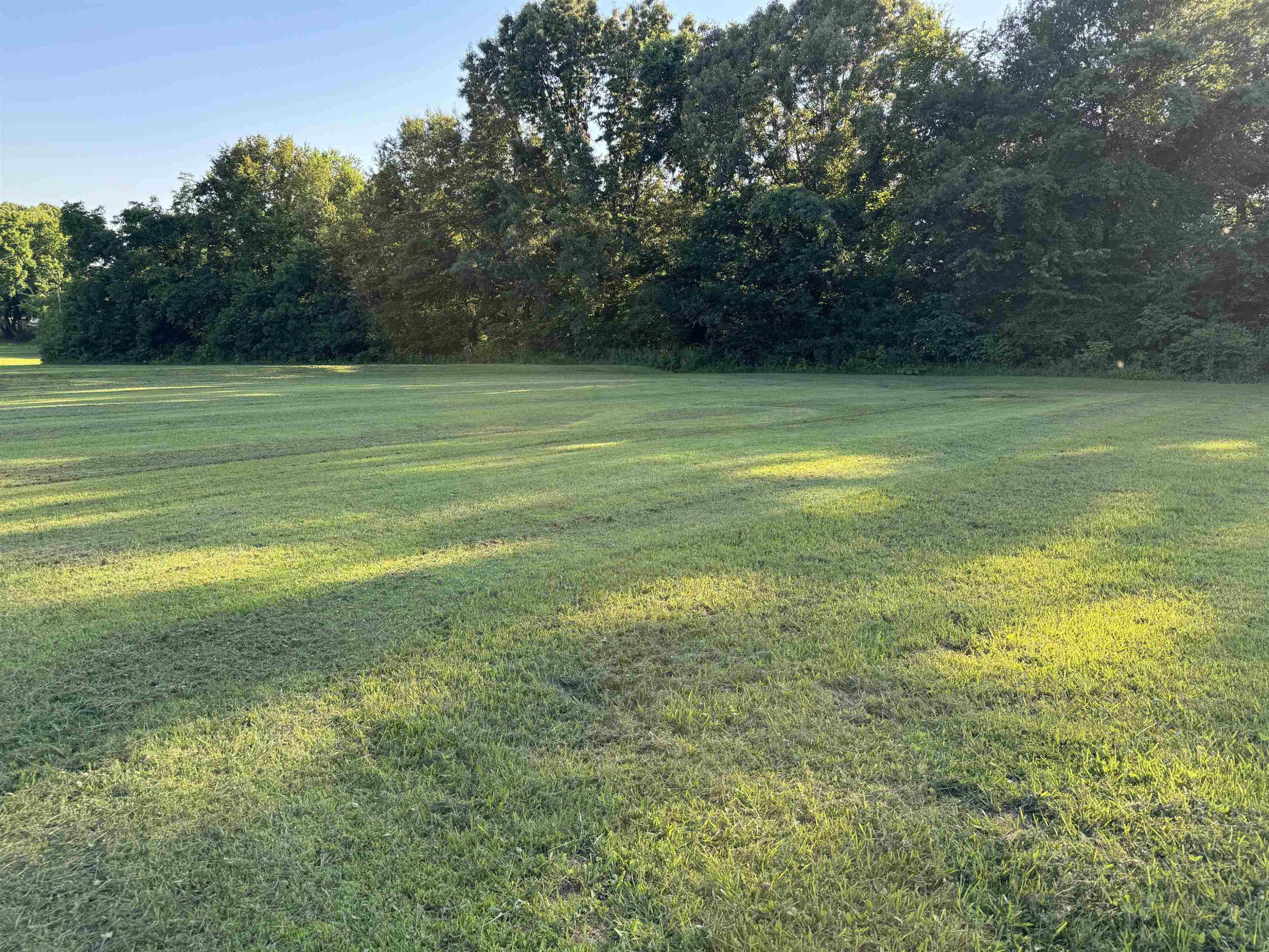 0 North Main Street Medina, TN 38355 - Photo 19 of 21 Photo 19