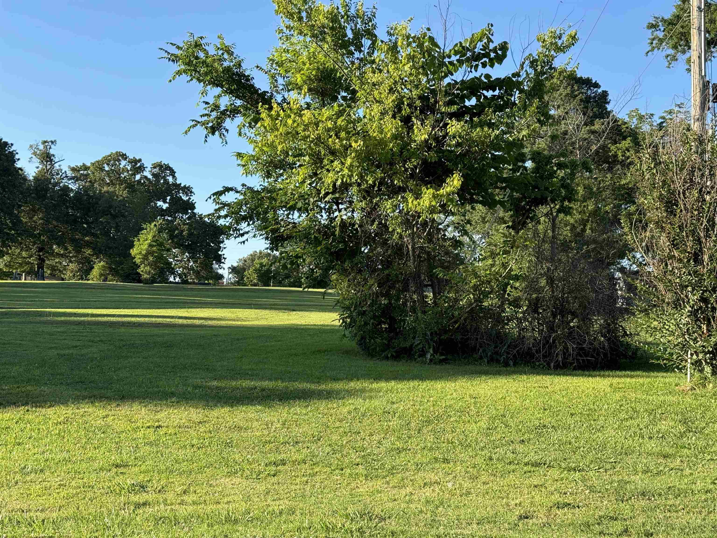 0 North Main Street Medina, TN 38355 - Photo 6 of 21 Photo 6