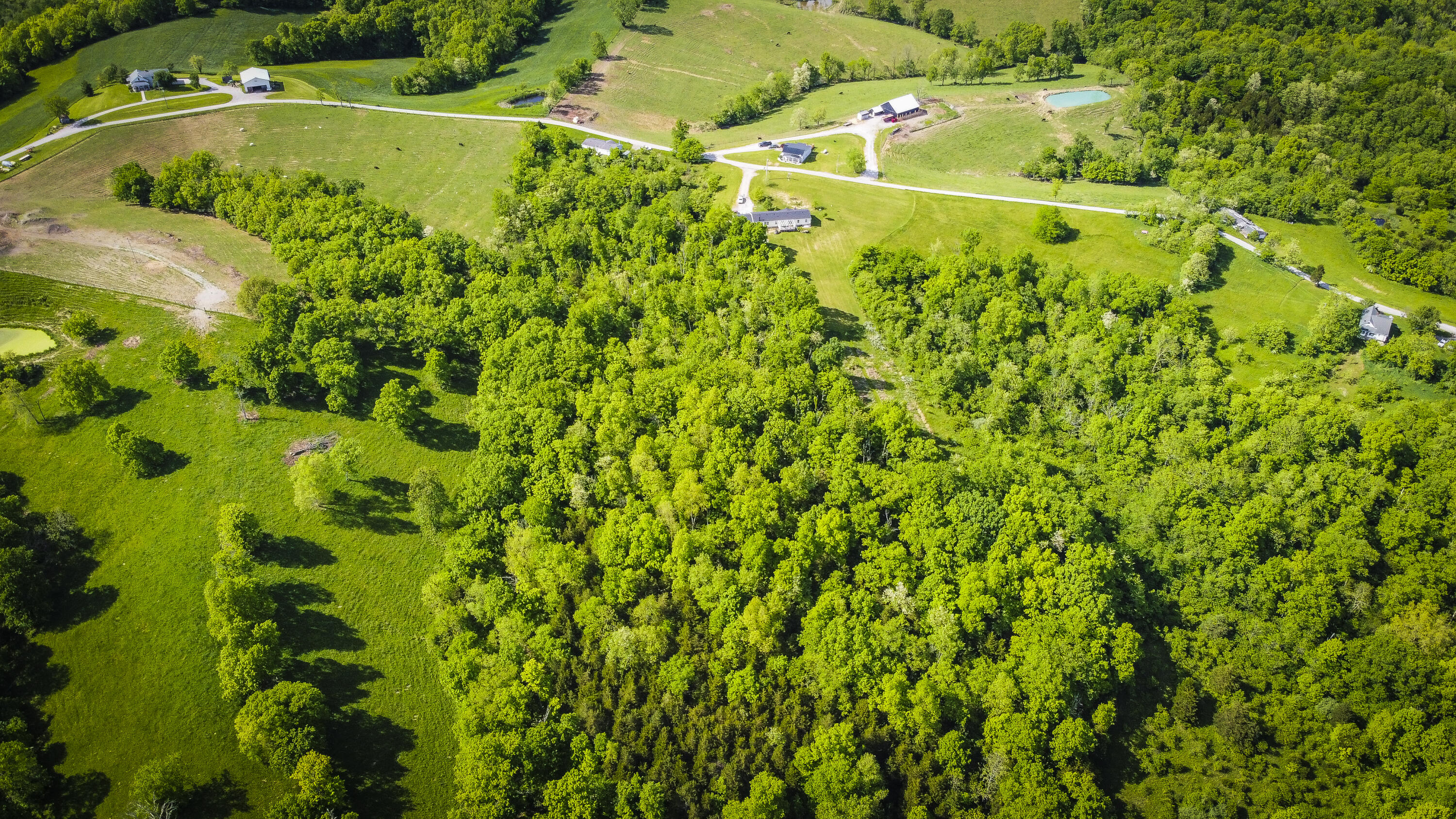 1038 Phillip Sharp Road Butler, KY 41006 - Photo 49 of 50 Gallery Image 49