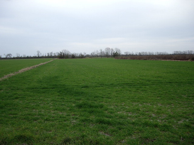 Tbd Weston Road Creswell, NC 27928 - Photo 1 of 1 Main View
