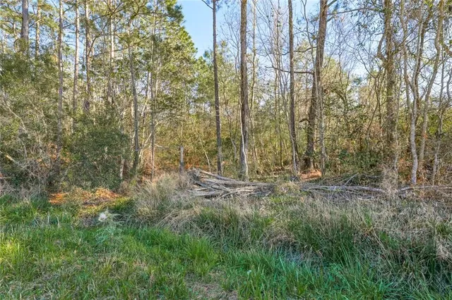 $295,000 | 0 Ruth Street, Mandeville, LA 70471