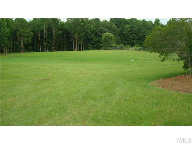 Old Fairground Road Willow Spring, NC 27592 - Photo 3 of 3 Photo 3
