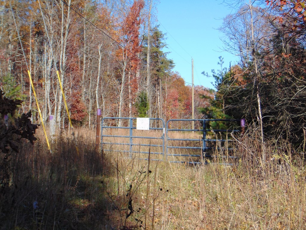 0 Raccoon Ridge Road Spring City, TN 37381 - Photo 43 of 70