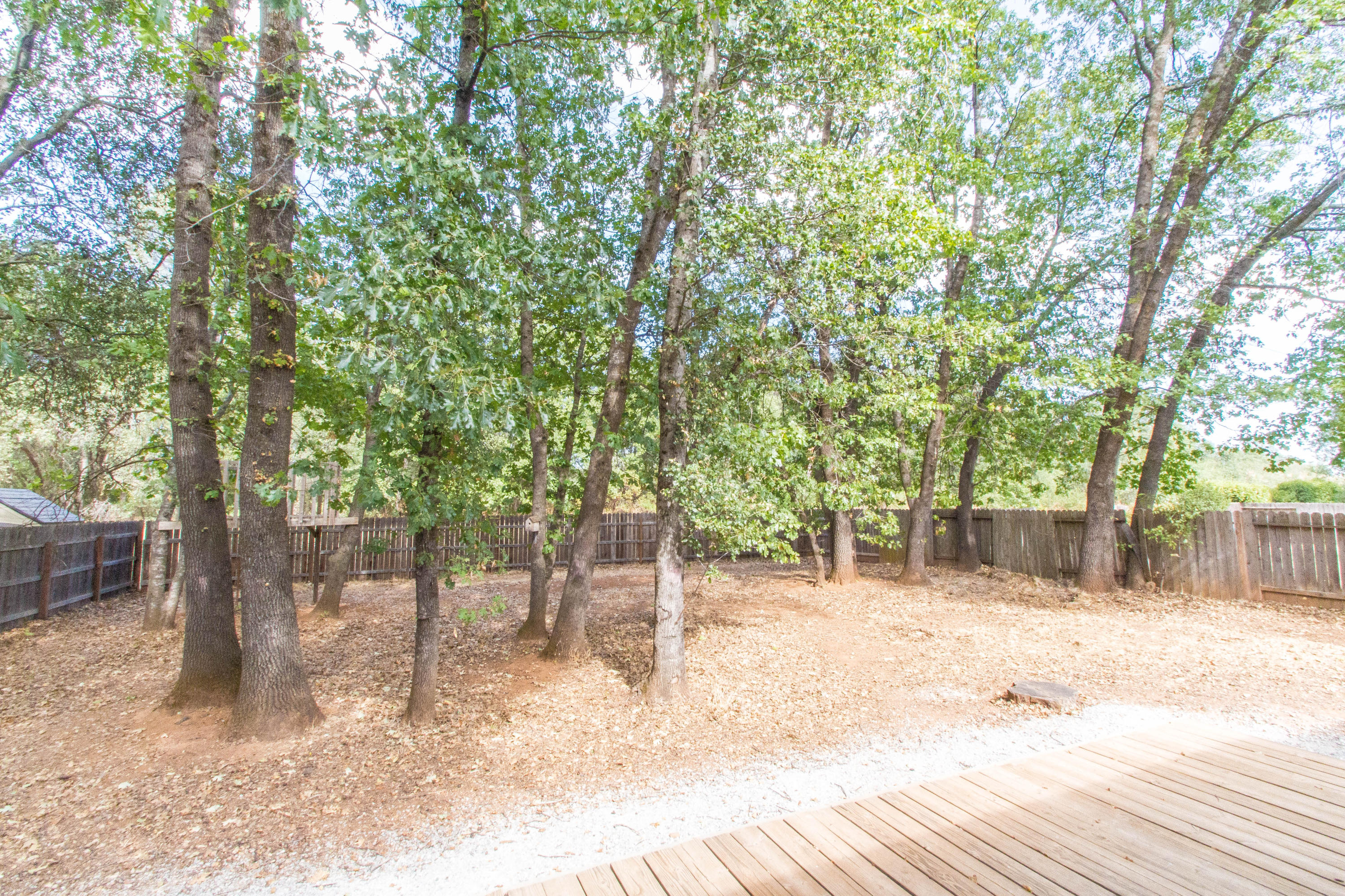 3357 Lawrence Road Redding, CA 96002 - Photo 5 of 17 a view of a yard with trees