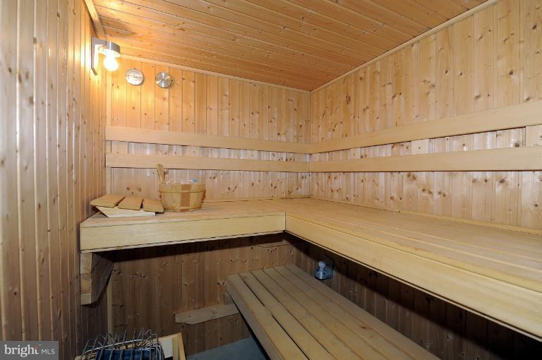 16347 Frederick Road Woodbine, MD 21797 - Photo 5 of 27 Sauna