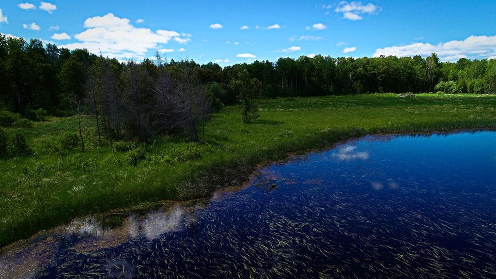 3 East Pine Drive Angle Inlet, MN 56711 - Photo 5 of 15