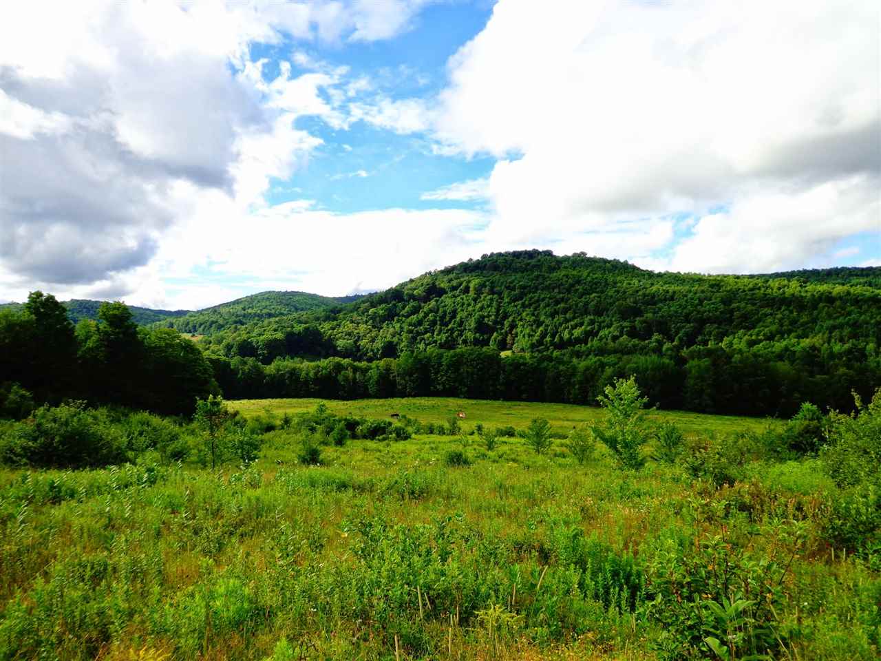 429 B Allen Hill Road Pomfret, VT 05053 - Photo 1 of 4