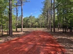 0 Friendship Road Tallassee, AL 36078 - Photo 2 of 11 Gallery Image 2