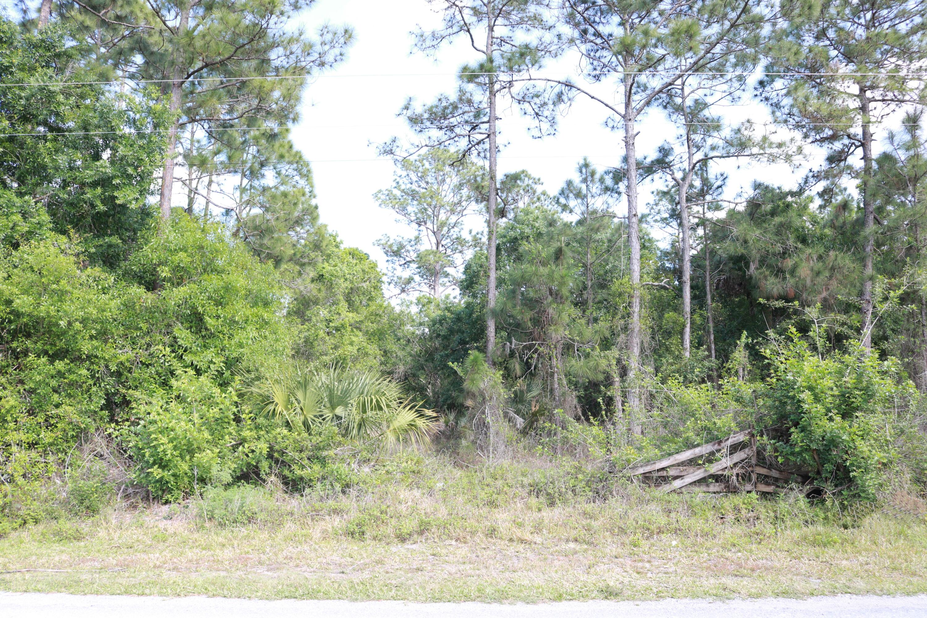 725 South Riverside Street Clewiston, FL 33440 - Photo 2 of 8 Vacant Land 2