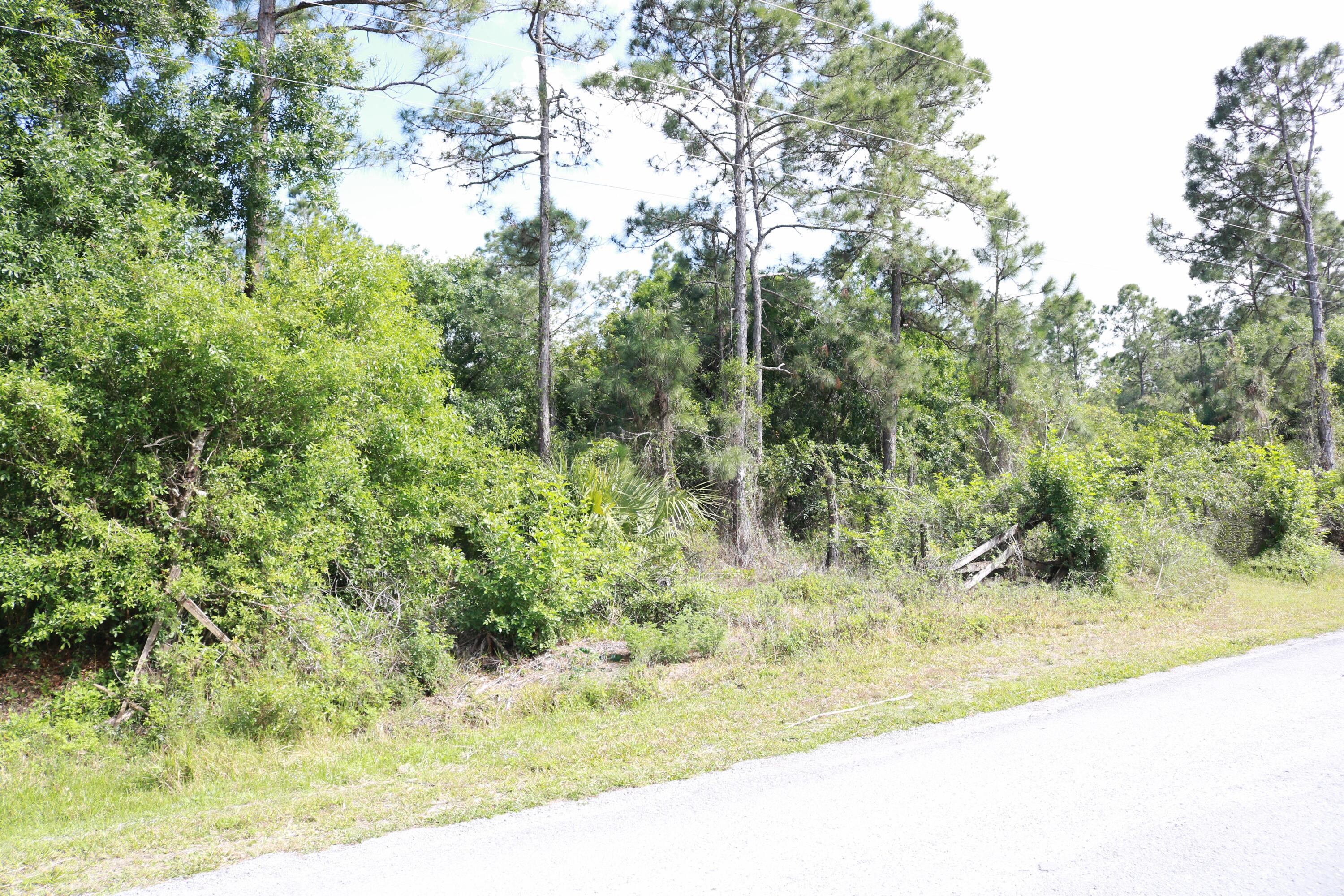 725 South Riverside Street Clewiston, FL 33440 - Photo 3 of 8 Vacant Land 1