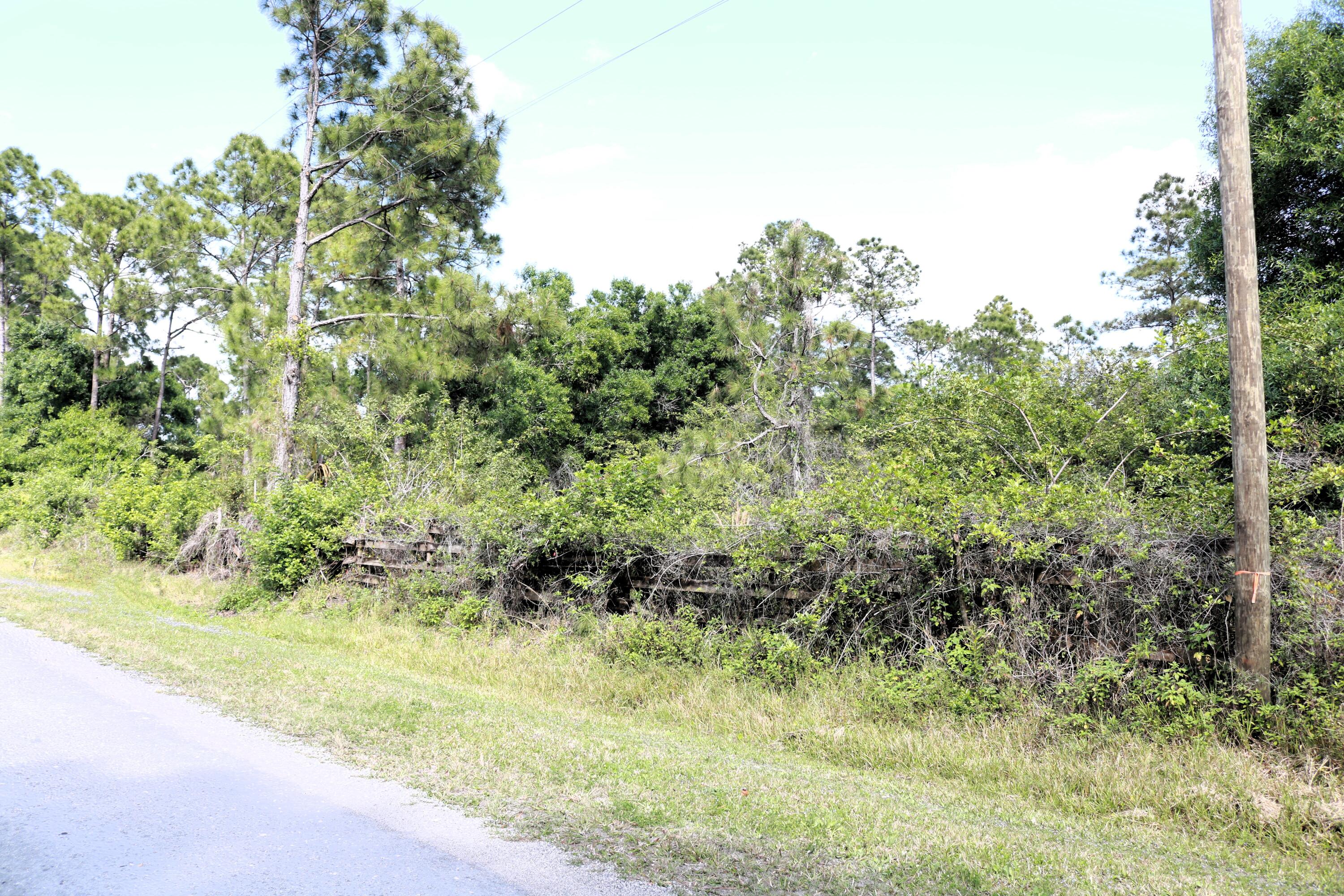725 South Riverside Street Clewiston, FL 33440 - Photo 4 of 8 Vacant Land 3
