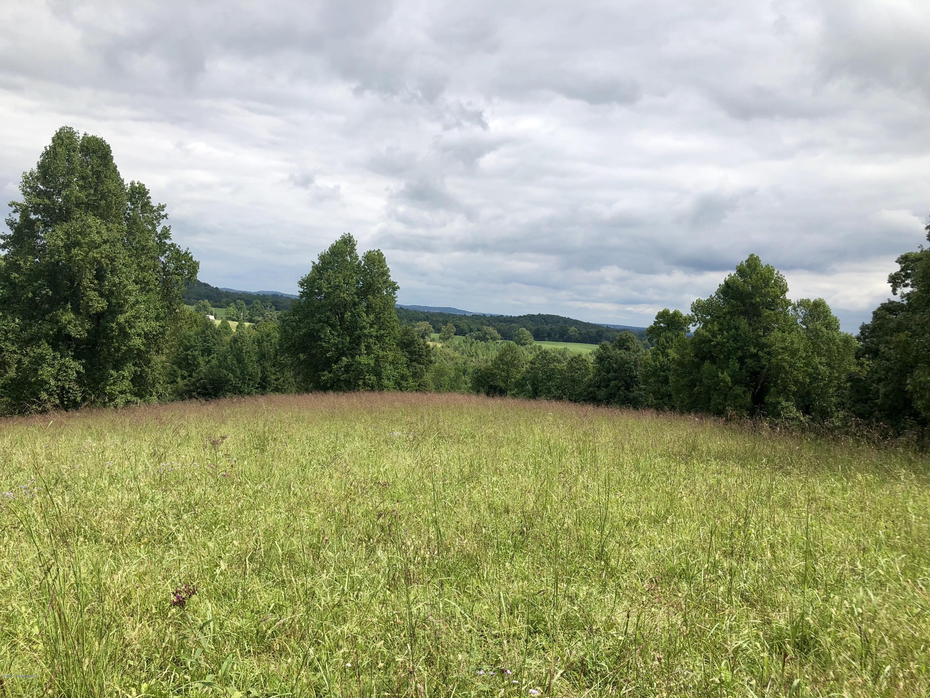 617 North Hopewell Church Road Fordsville, KY 42343 - Photo 114 of 116 114