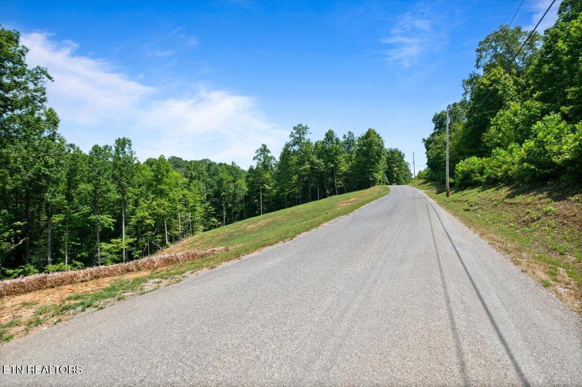 2321 Cove Pointe Road La Follette, TN 37766 - Photo 9 of 10 08-Land