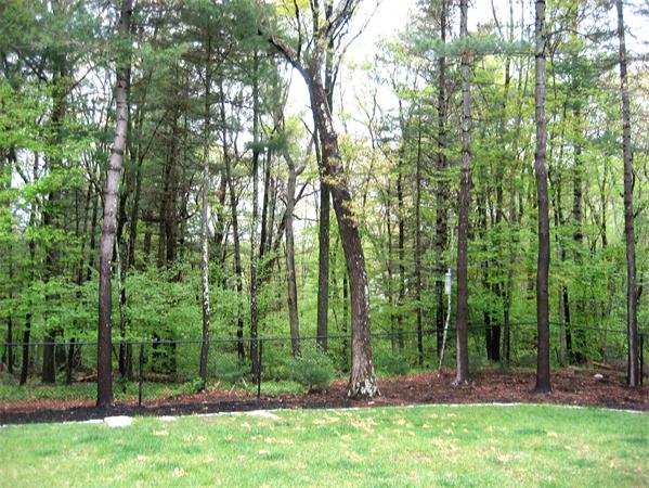 70 Oxbow Road Canton, MA 02021 - Photo 23 of 25 Gallery Image 23