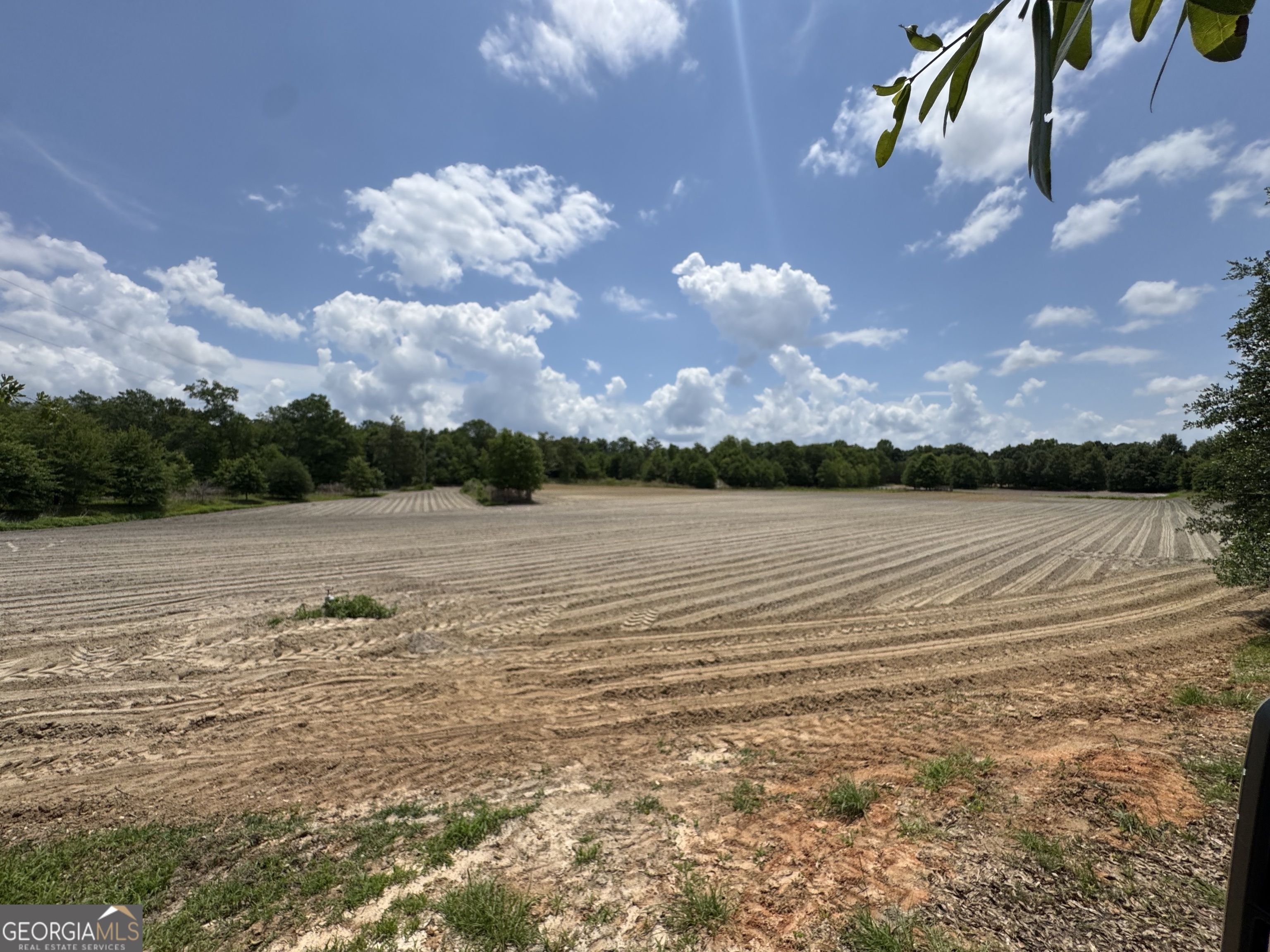 0 Rocky Mt Church Road Eufaula, AL 36027 - Photo 16 of 35