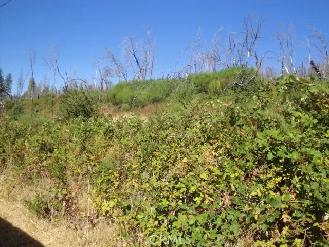 a view of a street with a trees in the background