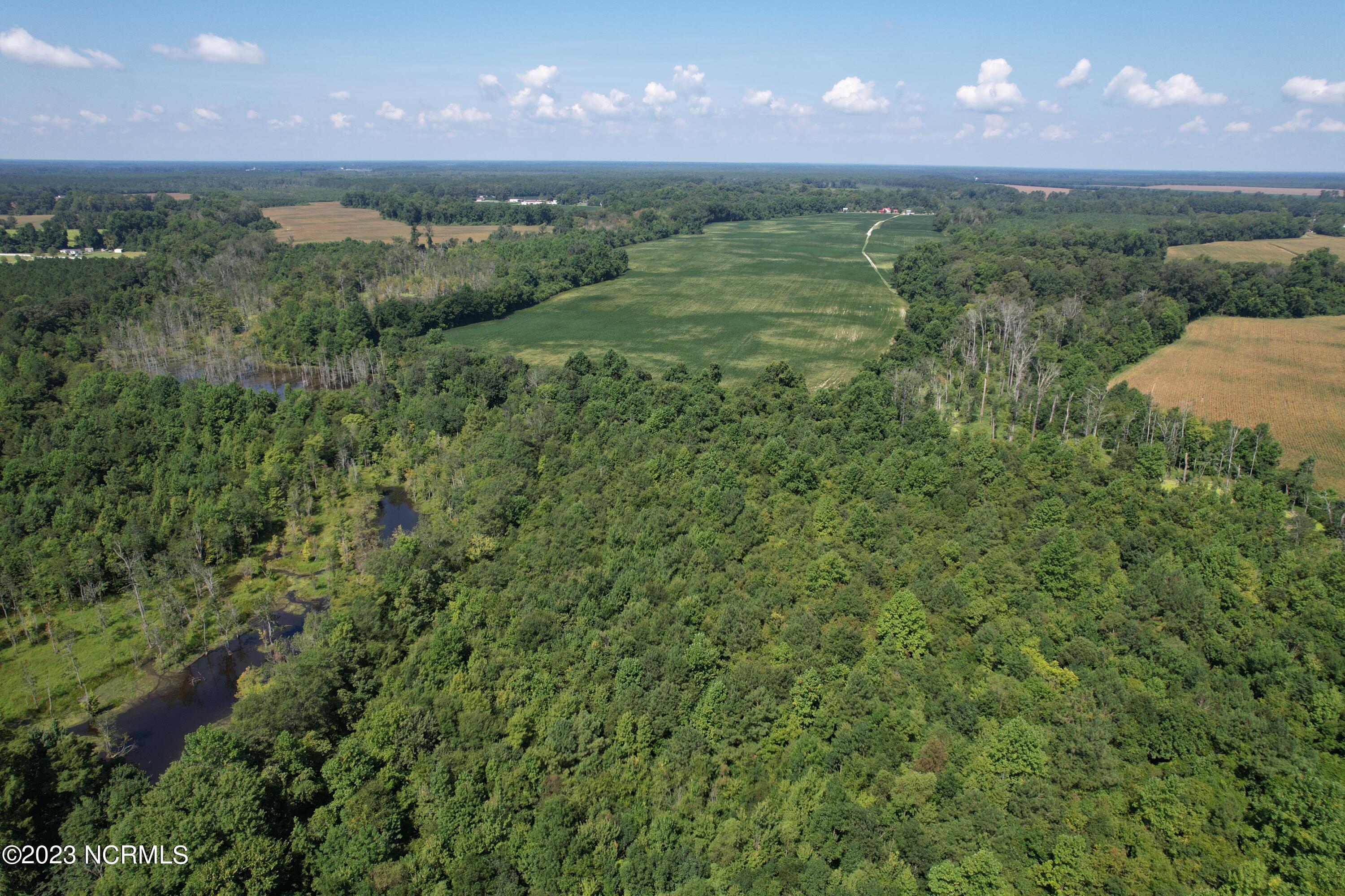 0 Wintergreen Road Cove City, NC 28523 - Photo 54 of 70 Wintergreen Road Road, Cove City