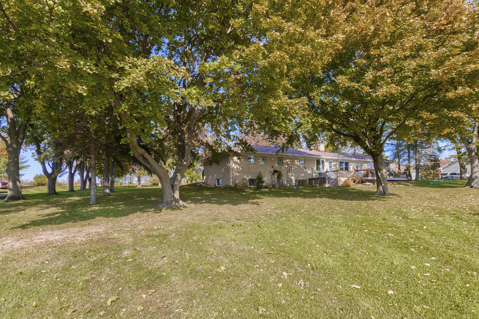 3511 West Gracy Road McHenry, IL 60050 - Photo 5 of 49 a tree in the middle of a yard