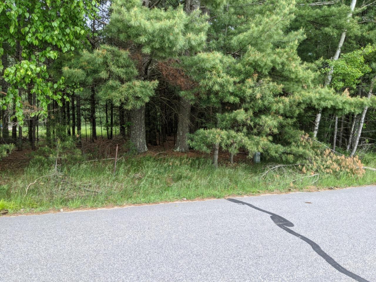 Lot 2 Airport Road Three Lakes, WI 54562 - Photo 1 of 3 Gallery Image 1