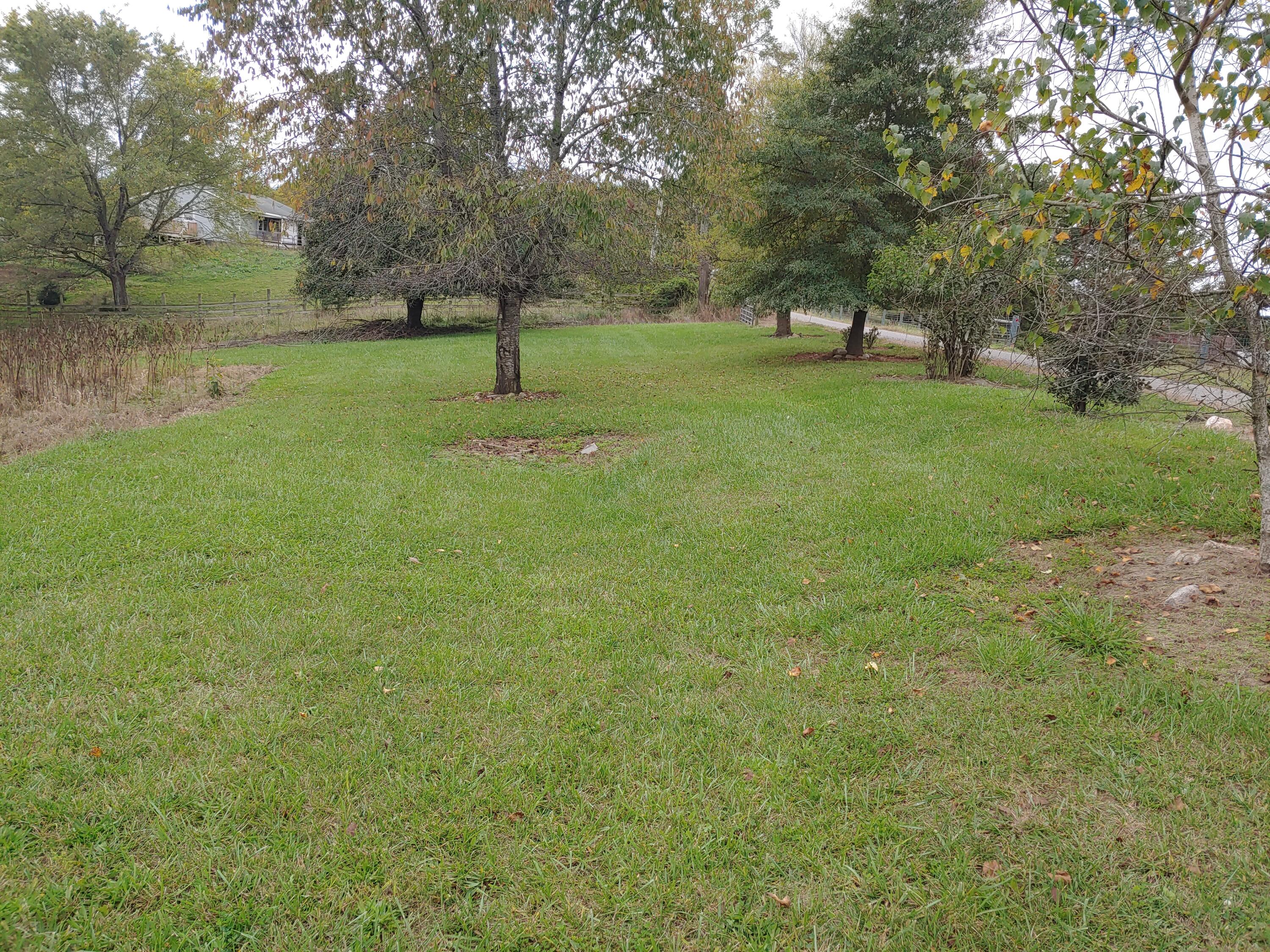 599 Otey Road Northeast Riner, VA 24149 - Photo 2 of 9 a view of some trees and grass