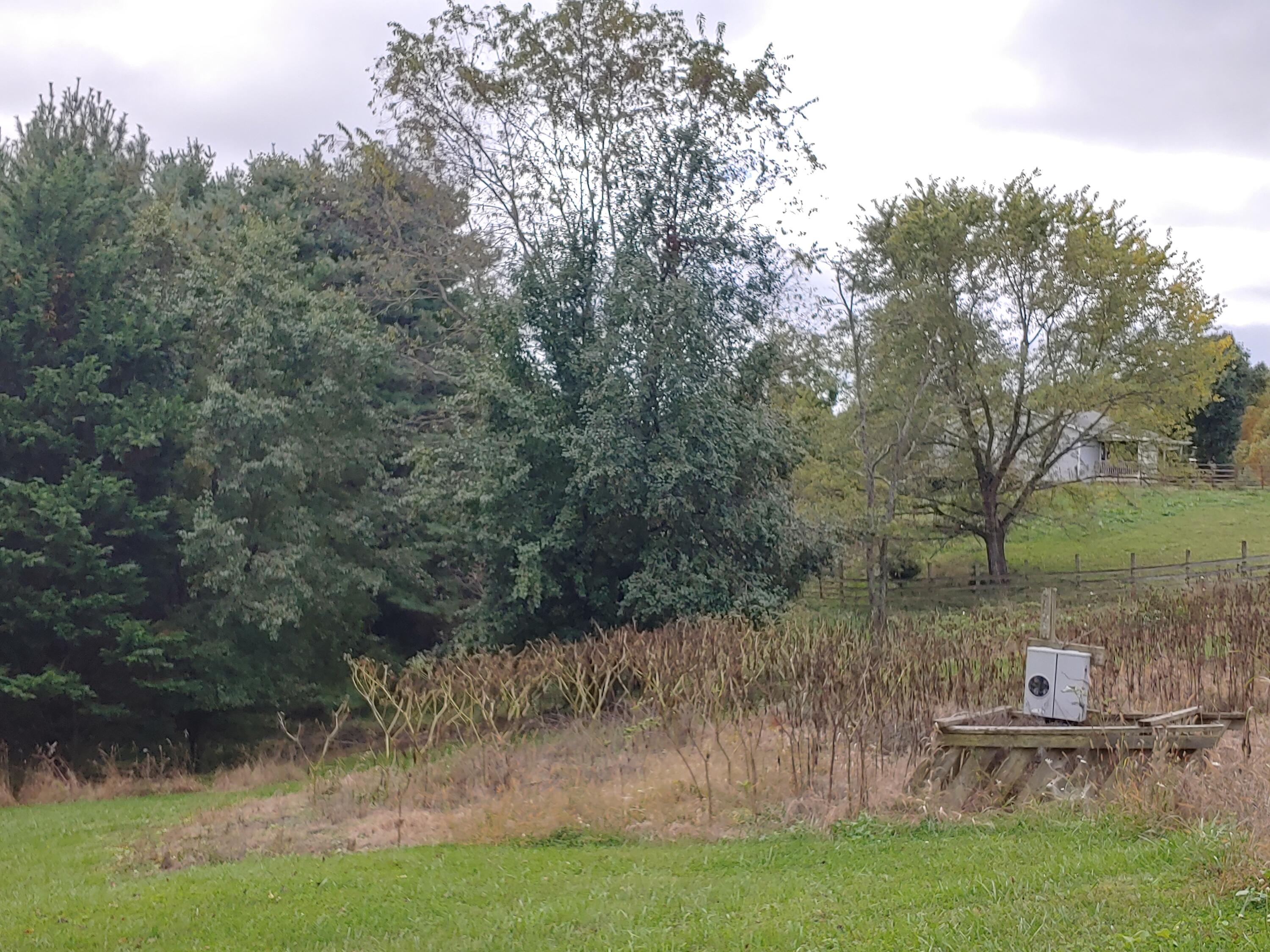 599 Otey Road Northeast Riner, VA 24149 - Photo 8 of 9 a view of lake with green space