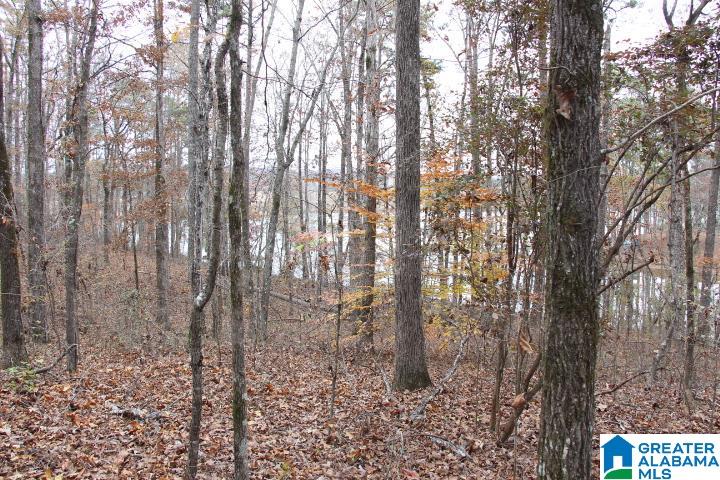 77 Rd Ohatchee, AL 36271 - Photo 18 of 24