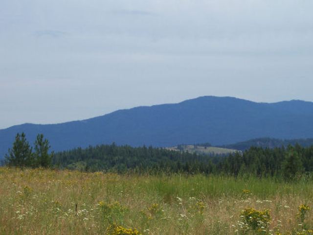 Tbd Lt E Old Dominion Road Colville, WA 99114 - Photo 1 of 4