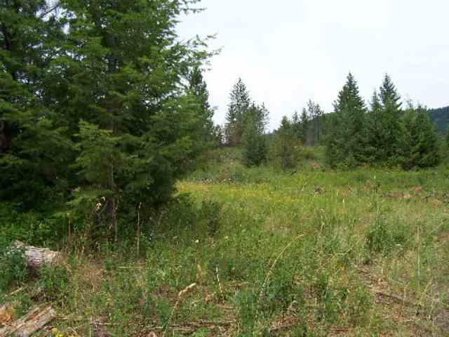 Tbd Lt E Old Dominion Road Colville, WA 99114 - Photo 2 of 4