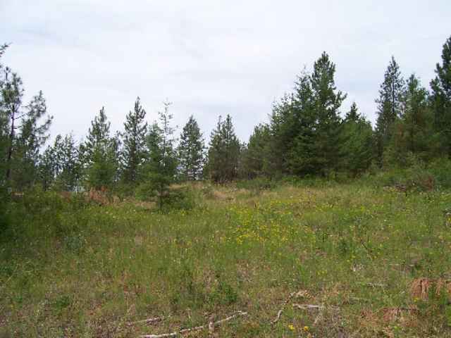 Tbd Lt E Old Dominion Road Colville, WA 99114 - Photo 3 of 4