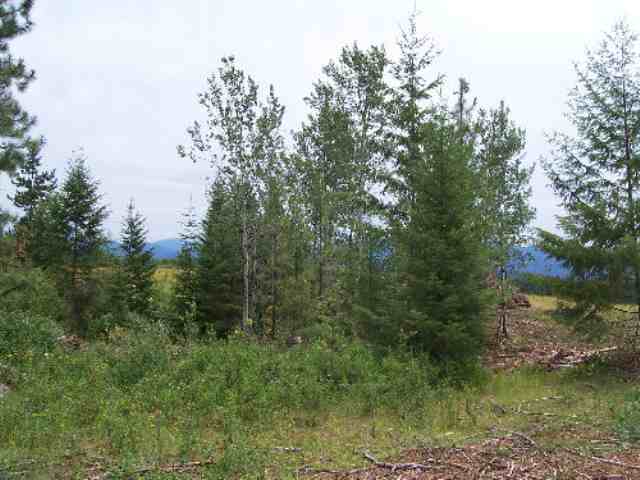 Tbd Lt E Old Dominion Road Colville, WA 99114 - Photo 4 of 4