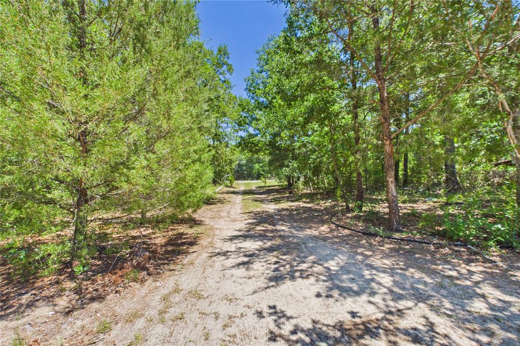 6844 South Irma Point Lecanto, FL 34461 - Photo 64 of 65