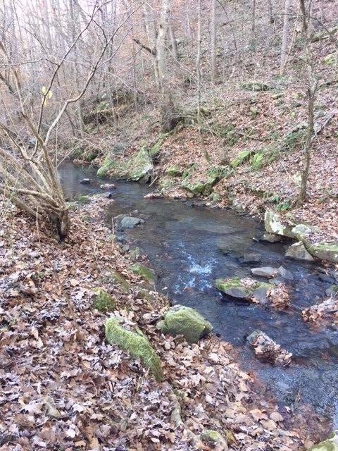 2167 Sandy Gap Road Somerset, KY 42501 - Photo 23 of 26 Additional Photo