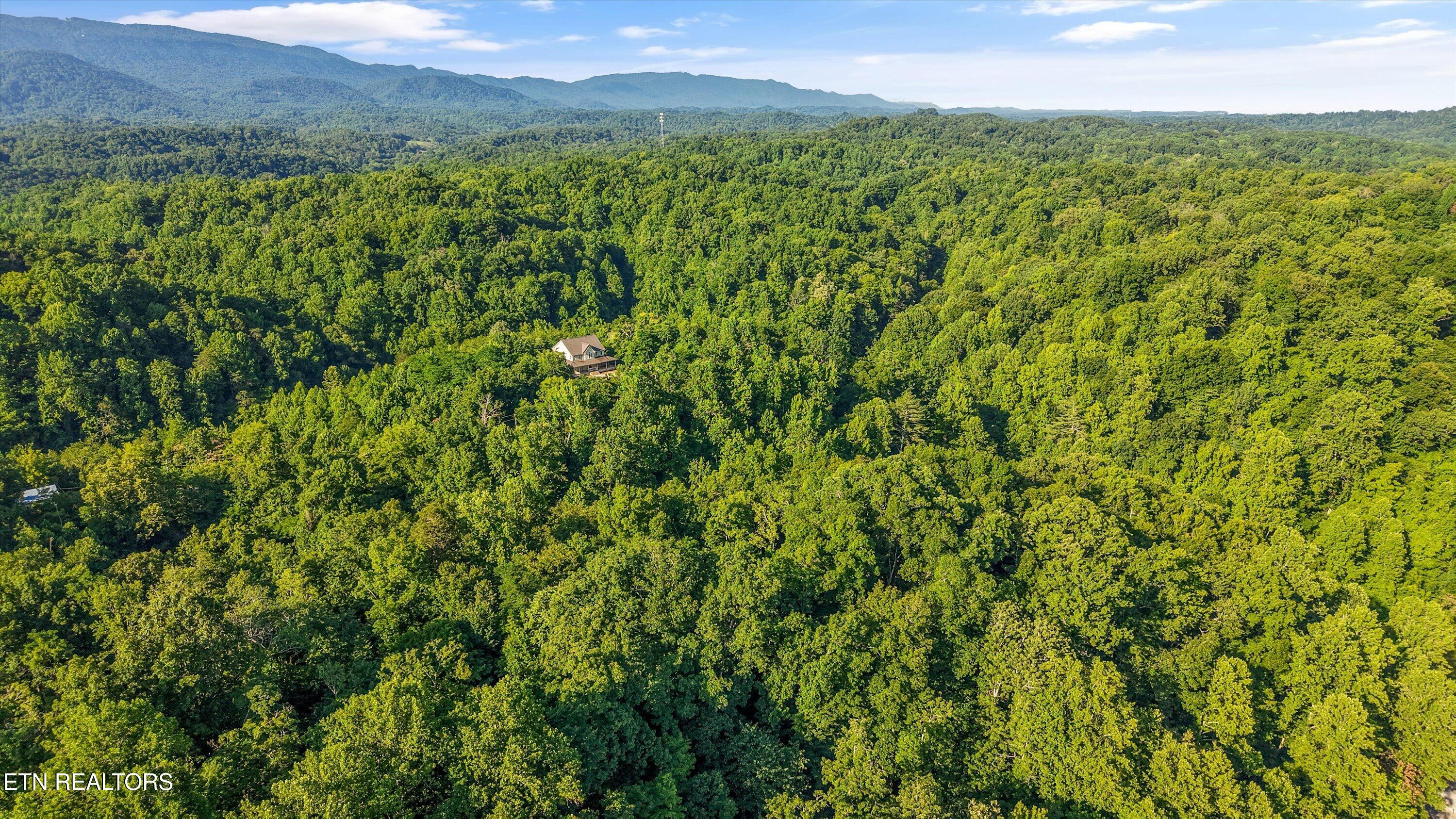 1717 Long Branch Road Seymour, TN 37865 - Photo 10 of 10 06-1717 Long Branch Rd06