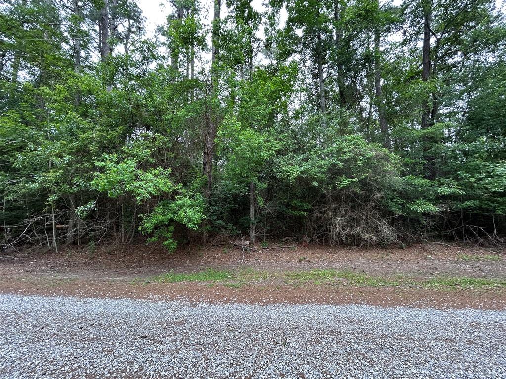 0 Firetower Road Mandeville, LA 70471 - Photo 2 of 3