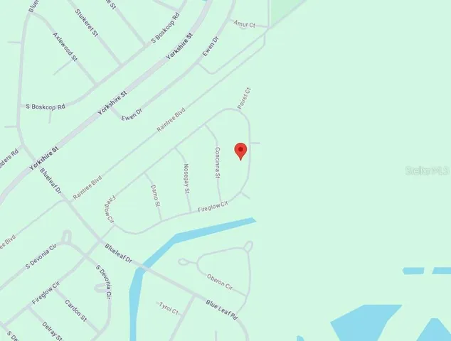 a picture of a tree with a plant