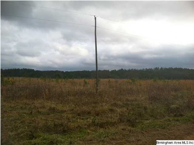 4147 Washington Valley Road, Unit 108 AC Springville, AL 35146 - Photo 8 of 10 Gallery Image 8