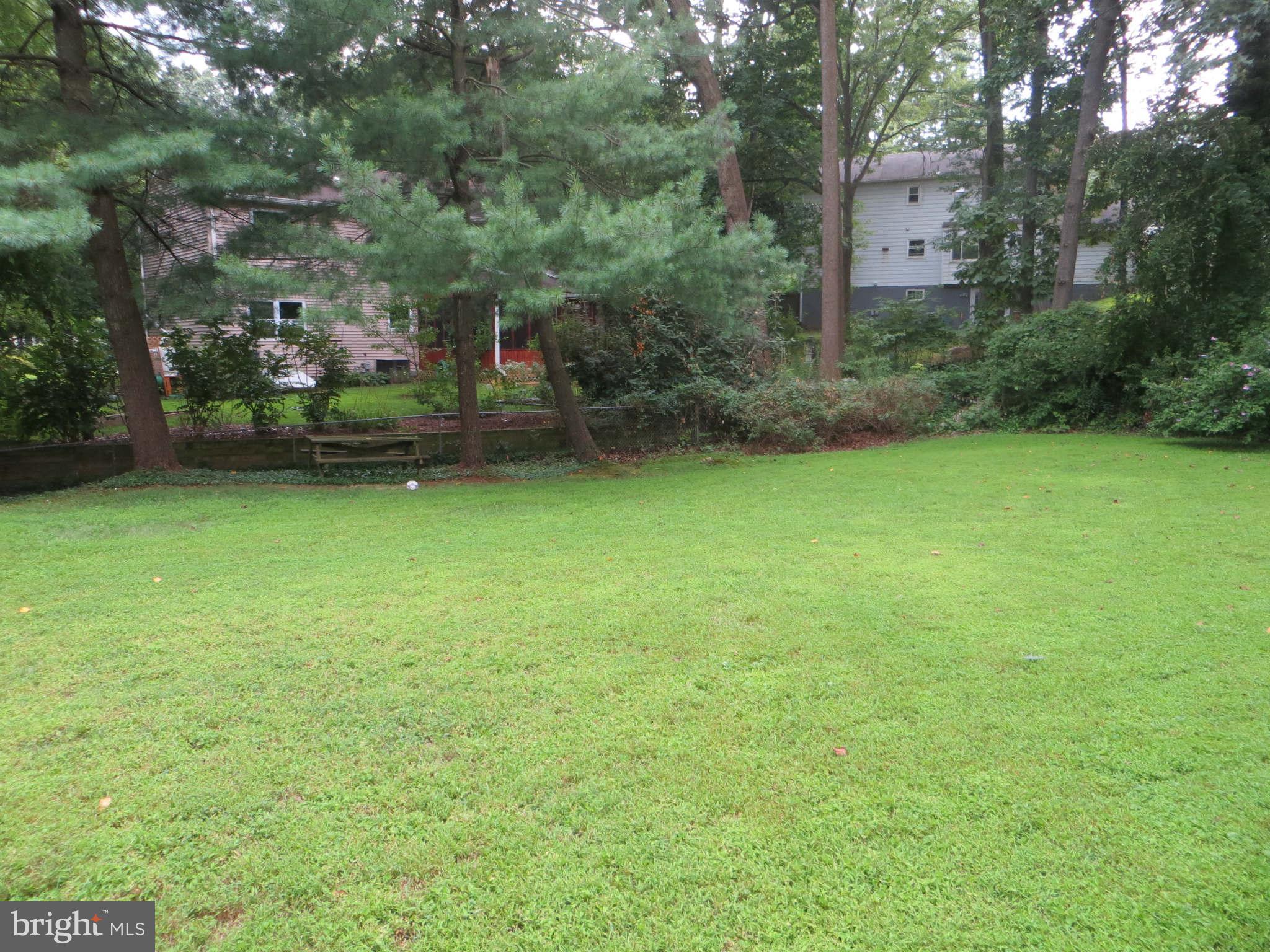 12504 Kuhl Road Silver Spring, MD 20902 - Photo 12 of 27 Plenty of space for activities