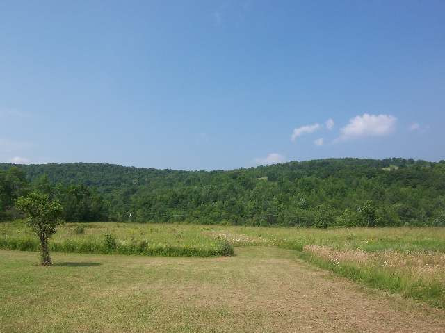 134 Three Track Mountain Road Warnerville, NY 12187 - Photo 2 of 2 Photo 2