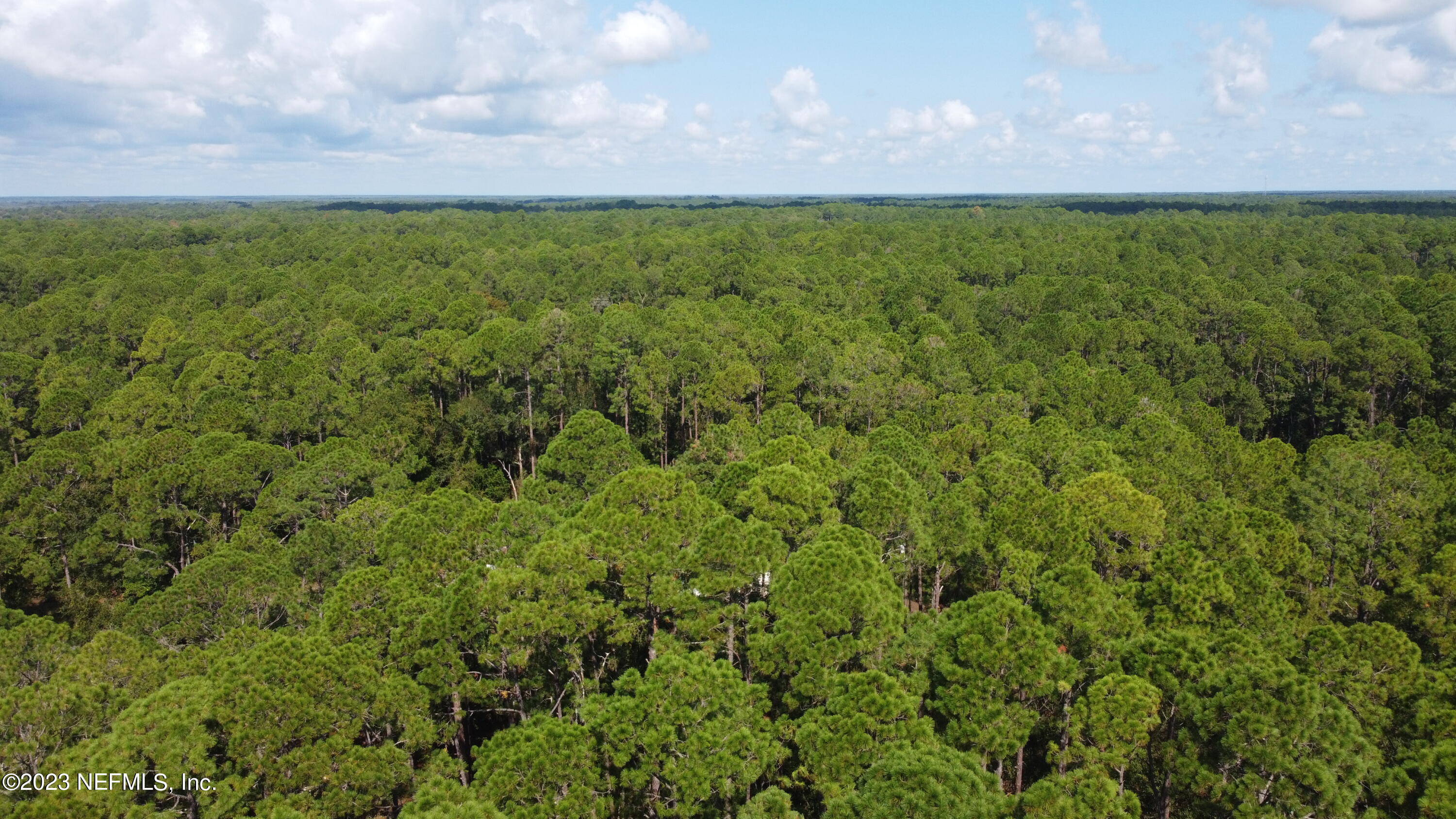 136 Georgetown Denver Road Georgetown, FL 32139 - Photo 11 of 45 18