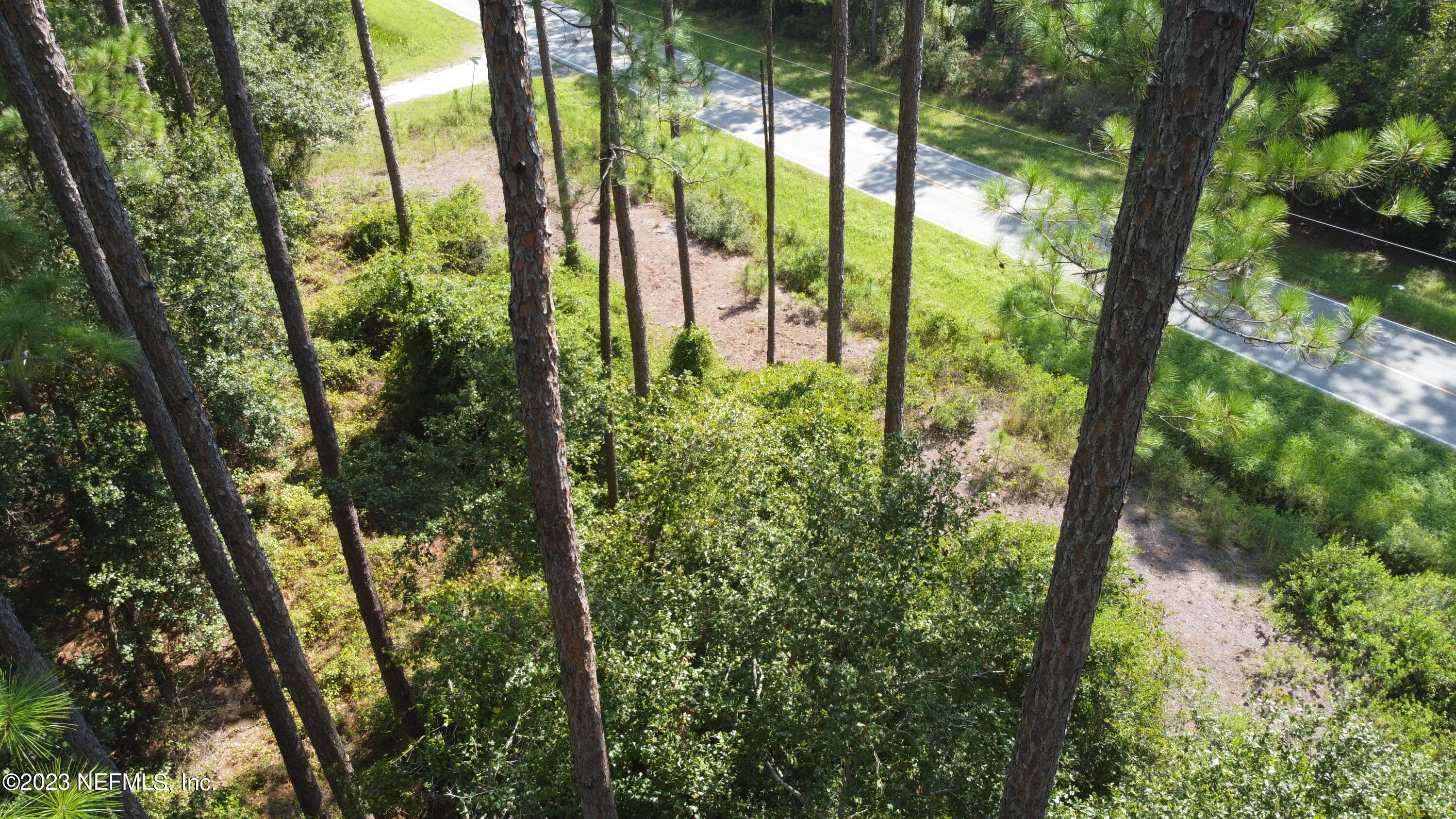 136 Georgetown Denver Road Georgetown, FL 32139 - Photo 13 of 45 24