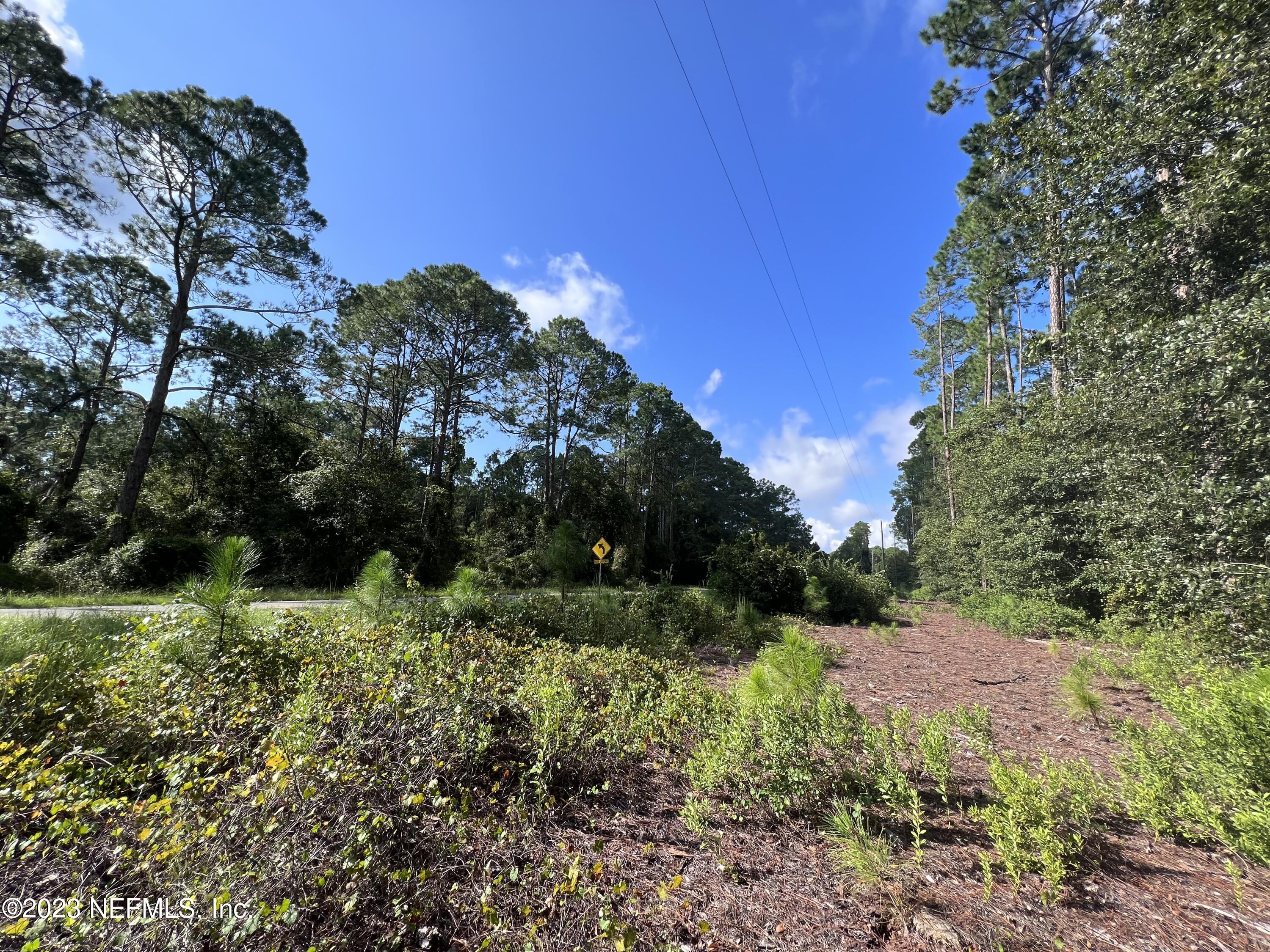 136 Georgetown Denver Road Georgetown, FL 32139 - Photo 16 of 45 34